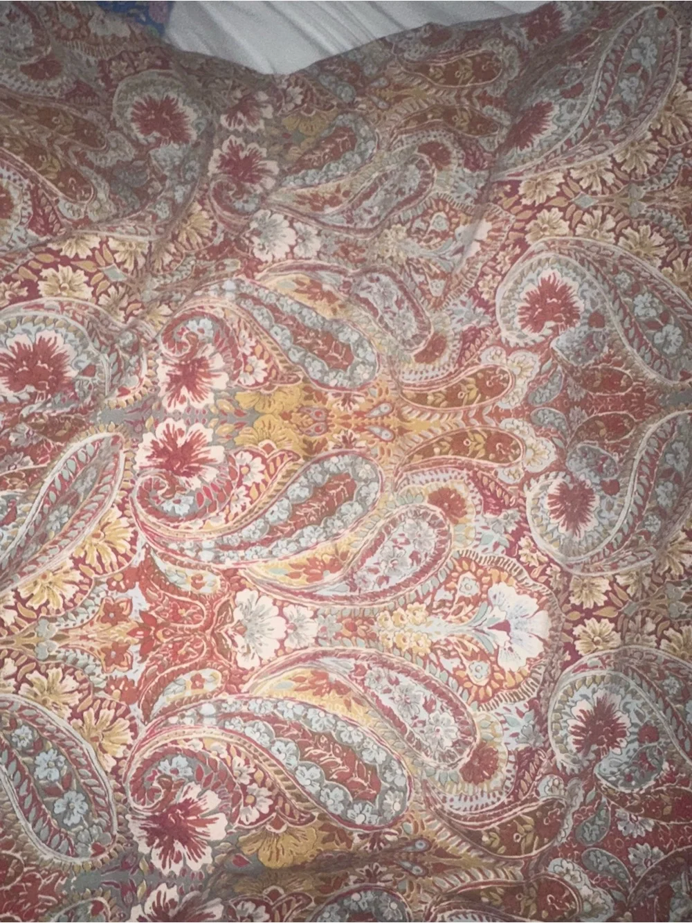 Pottery Barn Bella Paisley Duvet Cover and Shams Queen